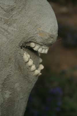 594.jpg - teeth