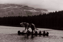 wolf canoe Banf 1985